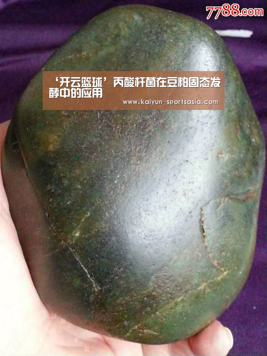 开云足球