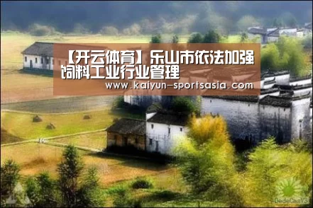 开云篮球