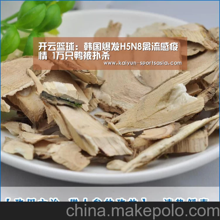 开云篮球:韩国爆发H5N8禽流感疫情 1万只鸭被扑杀(图1) 开云体育
